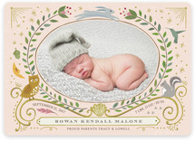 Woodland Awakening Owl Birth Announcements