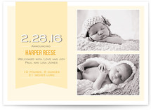 Banner Baby Birth Announcements