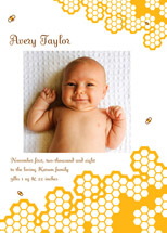 Baby Bee Birth Announcements, by Candice Leigh
