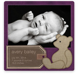 Bear Book Birth Announcements