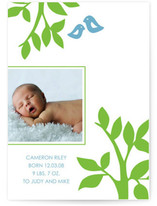 The Birds and Trees Birth Announcements