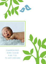 The Birds and Trees Birth Announcements, by Avie Designs