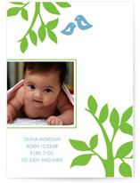 The Birds and Trees Birth Announcements