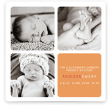 Checkers Birth Announcements