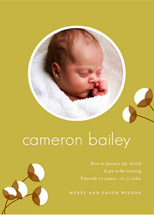 cotton Birth Announcements, by Oscar+Emma Design