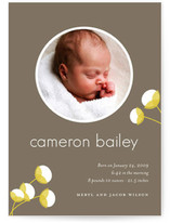 cotton Birth Announcements