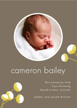 cotton Birth Announcements, by Oscar+Emma Design