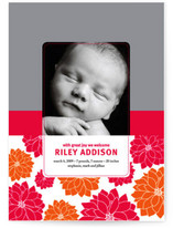 Darling Dahlias Birth Announcements