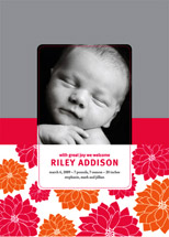 Darling Dahlias Birth Announcements, by sweet tree studio