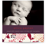 Genevieve Birth Announcements