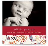 Genevieve Birth Announcements