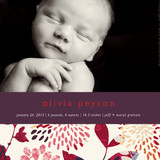 Genevieve Birth Announcements, by Sarah Lenger