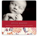 Genevieve Birth Announcements