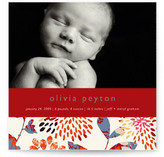 Genevieve Birth Announcements