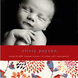 Genevieve Birth Announcements, by Paper Plains