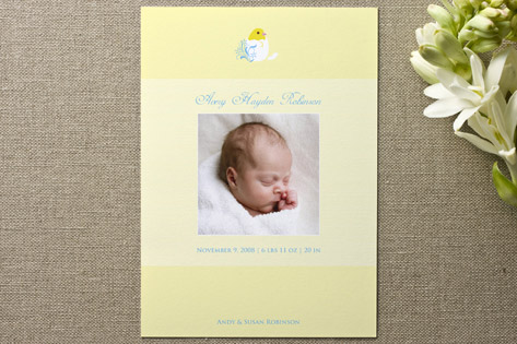 Hatched Birth Announcements