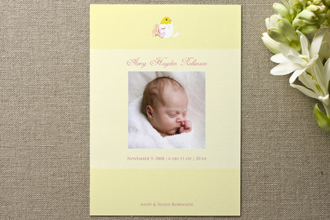 Hatched Birth Announcements