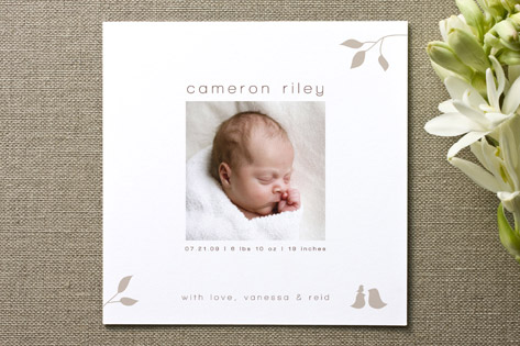 Isabella Birth Announcements