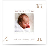 Isabella Birth Announcements