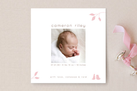 Isabella Birth Announcements