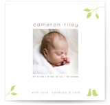 Isabella Birth Announcements