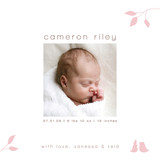 Isabella Birth Announcements, by guess what?