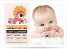 In the Wild Birth Announcements
