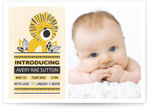 In the Wild Birth Announcements