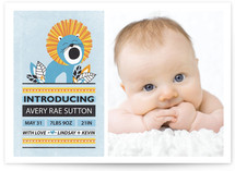 In the Wild Birth Announcements