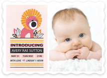 In the Wild Birth Announcements