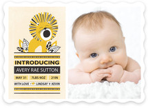 In the Wild Birth Announcements
