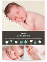 Bird Parade Birth Announcements