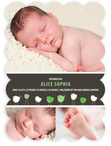 Bird Parade Birth Announcements