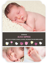 Bird Parade Birth Announcements