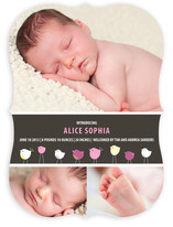 Bird Parade Birth Announcements