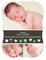 Bird Parade Birth Announcements