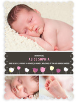 Bird Parade Birth Announcements