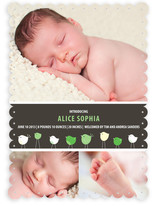 Bird Parade Birth Announcements