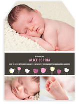 Bird Parade Birth Announcements