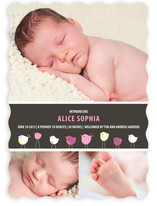 Bird Parade Birth Announcements