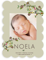 Tree Branch Birth Announcements