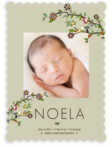 Tree Branch Birth Announcements