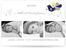 Little Bird Birth Announcements