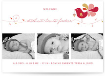 Little Bird Birth Announcements