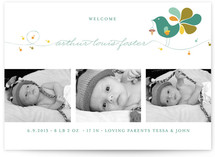 Little Bird Birth Announcements