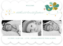 Little Bird Birth Announcements