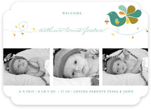 Little Bird Birth Announcements