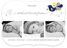 Little Bird Birth Announcements