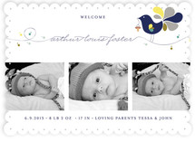 Little Bird Birth Announcements