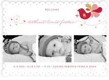 Little Bird Birth Announcements